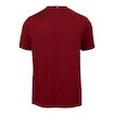 Heren T-shirt Fila  T-Shirt Bosse Cabernet/White Alyssum