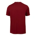 Heren T-shirt Fila  T-Shirt Bosse Cabernet/White Alyssum