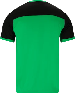 Heren T-shirt FZ Forza  Alberti M S/S Tee Perfect Green