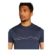 Heren T-shirt Icebreaker Merino 150 Tech Lite SS T Icebreaker Graphite