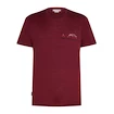 Heren T-shirt Icebreaker Merino 150 Tech Lite SS T Sing Li Cmp Port