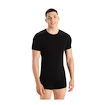 Heren T-shirt Icebreaker Merino Anatomica SS Crewe Black