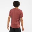 Heren T-shirt Salomon Cross Run Graphic Tee Cabernet