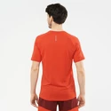 Heren T-shirt Salomon Cross Run SS Tee Fiery Red