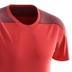 Heren T-shirt Salomon  Essential Colorblock Fiery Red