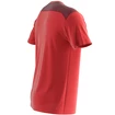 Heren T-shirt Salomon  Essential Colorblock Fiery Red