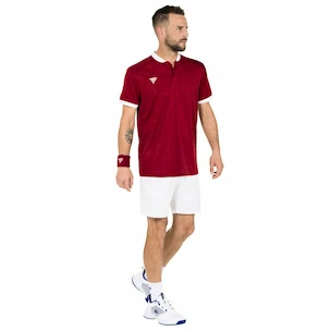 Heren T-shirt Tecnifibre  Club Polo Cardinal