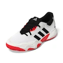 Heren tennisschoenen adidas Solematch Control 2 White/Core Black