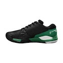 Heren tennisschoenen Wilson Rush Pro ACE Clay Black/Bosphor