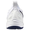 Heren zaalschoenen Mizuno  Wave MOMENTUM 3 White/Bellwether Blue