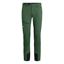 Herenbroek Salewa  Agner Orval 2 DST Raw Green XL