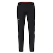 Herenbroek Salewa  Pedroc 4 DST M Reg Pants  XL