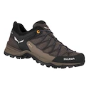 Herenschoenen Salewa  MTN Trainer Lite GTX   UK 11