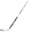 Houten goalie stick Fischer  GW250 Junior