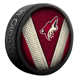 Inglasco Inc. Stitch NHL Arizona Coyotes