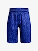 Jongens short Under Armour  Renegade 3.0 PRTD Shorts-BLU