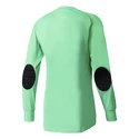 Keepersshirt adidas  Assita 17 GK Junior