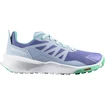 Kinder hardloopschoenen Salomon Patrol Velvet Morning/Zen Blue