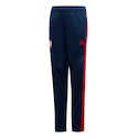 Kinder joggingbroek adidas  Arsenal FC 176 cm