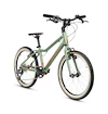 Kinderfiets Academy  Grade 4 - 20" Green