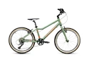 Kinderfiets Academy  Grade 4 - 20" Green