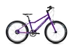 Kinderfiets Academy  Grade 4 Belt - 20" Purple