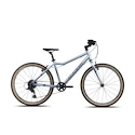 Kinderfiets Academy  Grade 5 Edition - FUNtasy Silver