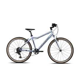 Kinderfiets Academy Grade 5 Edition - FUNtasy Silver