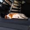 Ondergrond voor bench Thule Allax Dog mat standard