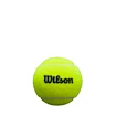 Padelballen Wilson  Premier Padel Ball X3