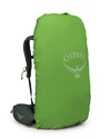 Rugzak OSPREY  Kestrel 38 Bonsai Green L/XL