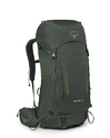 Rugzak OSPREY  Kestrel 38 Bonsai Green L/XL