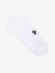 Sokken Under Armour  Core No Show 3Pk-BLK