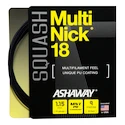 Squash besnaring Ashaway  Multinick 18 Black Set