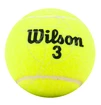 Tennisballen Wilson  Championship (4 Pack)