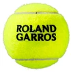 Tennisballen Wilson  Roland Garros Clay (3 Pack)