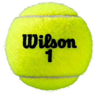 Tennisballen Wilson  Roland Garros Clay (3 Pack)