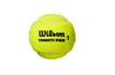 Tennisballen Wilson  Triniti Pro (4 Pack)
