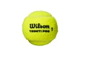 Tennisballen Wilson  Triniti Pro (4 Pack)